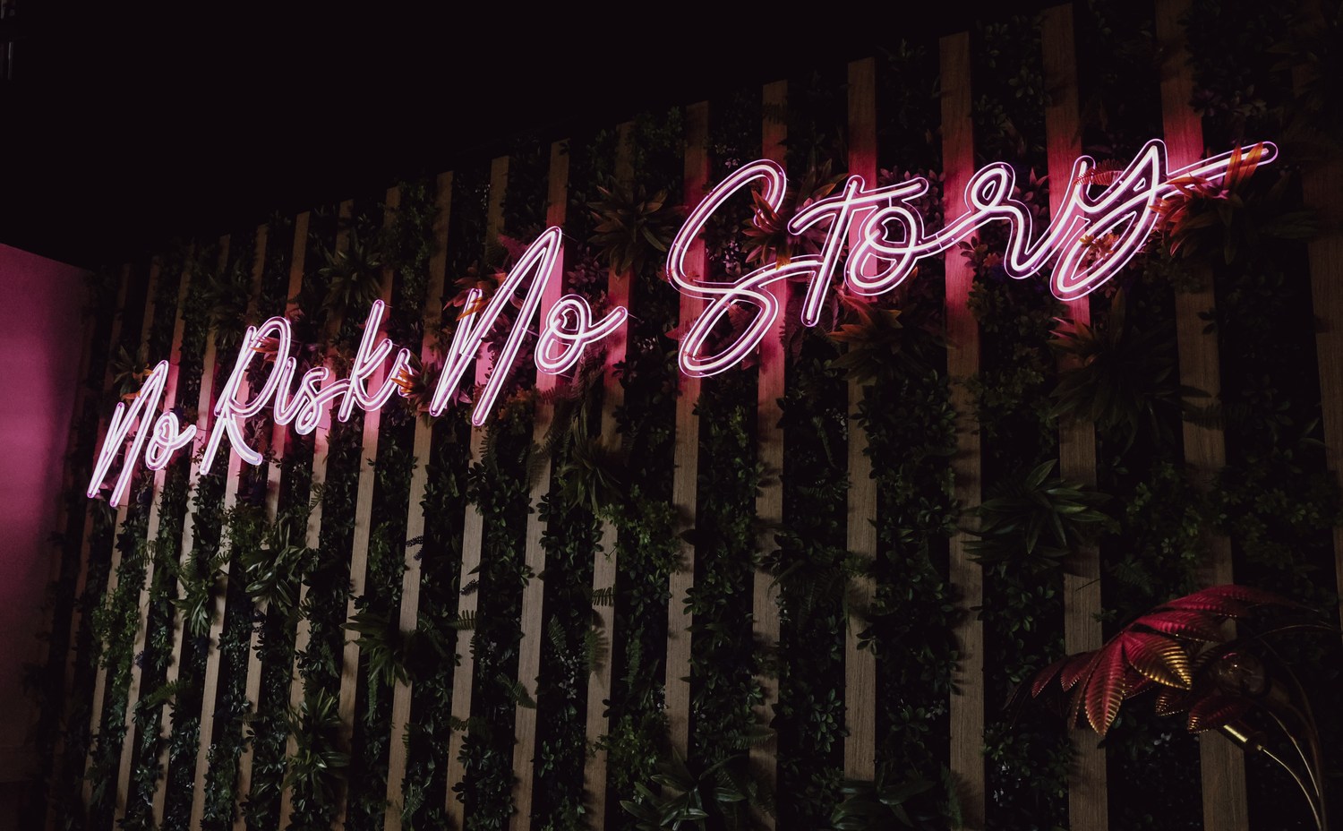 No Risk No Story
